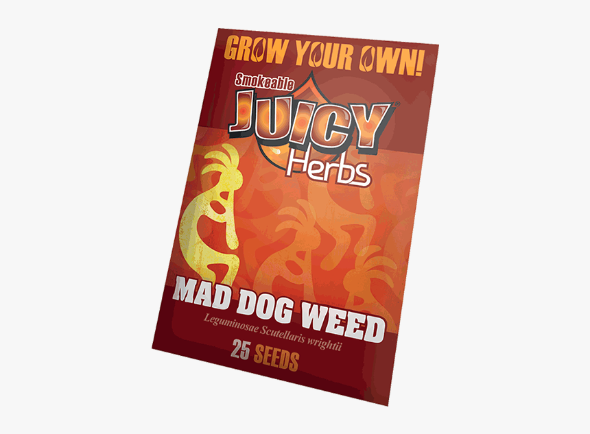Flyer, HD Png Download