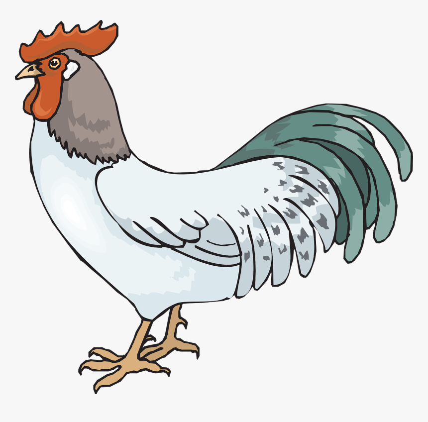 Rooster Png Pic - Rooster Clip Art, Transparent Png