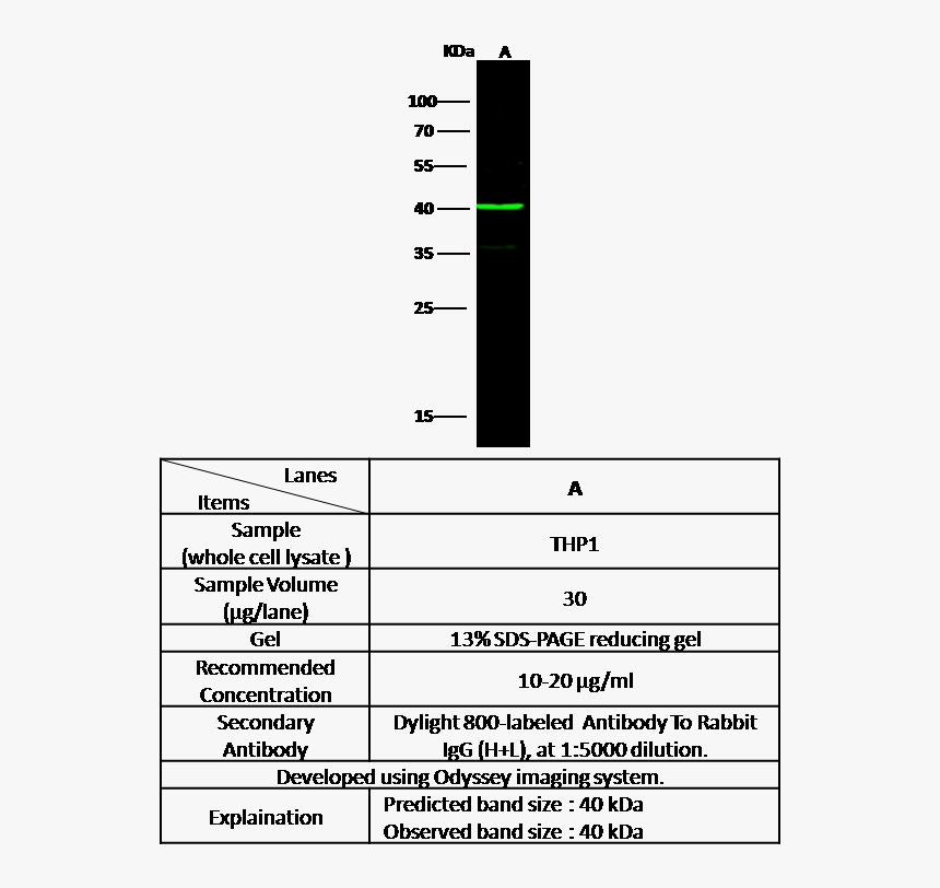 Number, HD Png Download