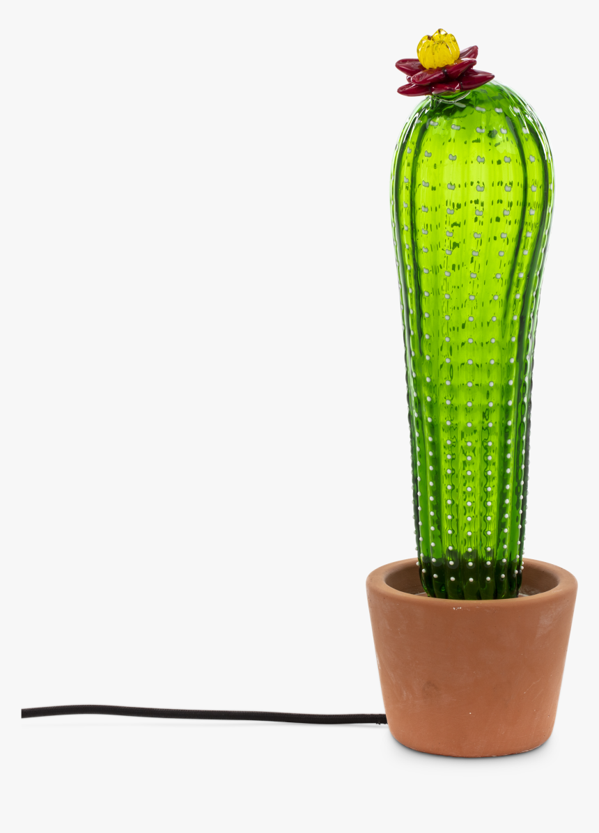 Transparent Cacti Png - Lamp, Png Download