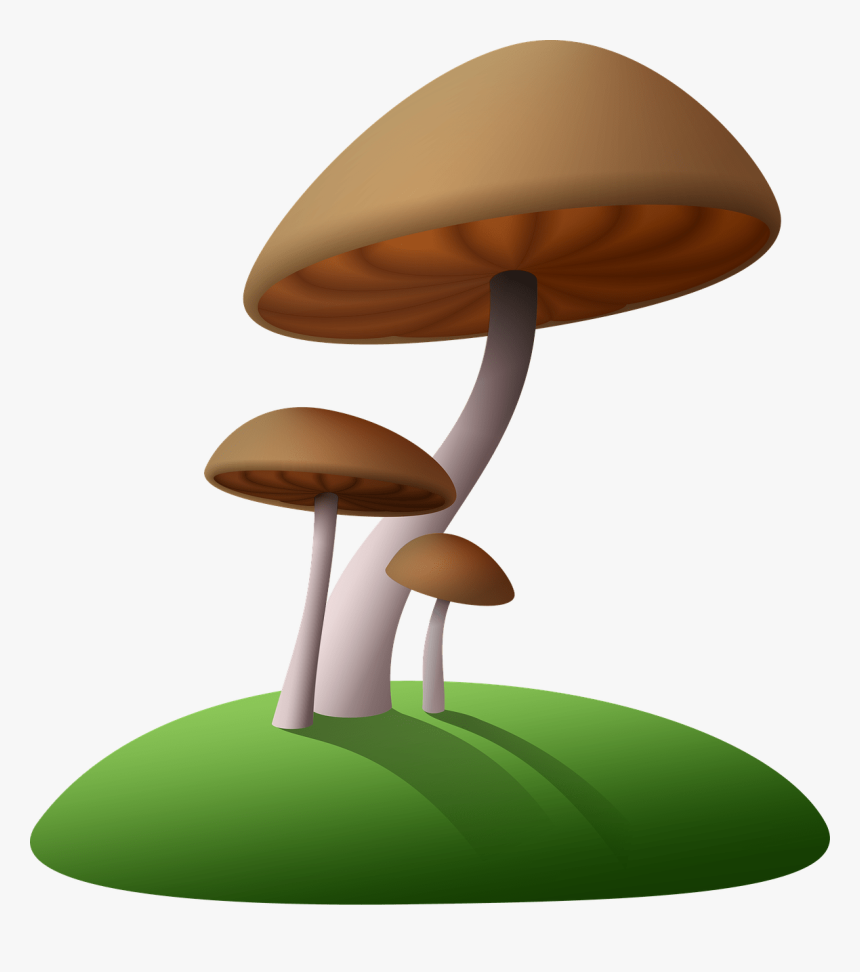 Transparent Background Mushroom Clipart, HD Png Download