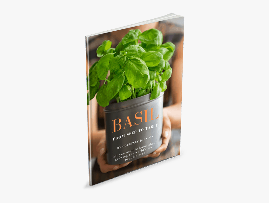 Basil From Seed To Table - Spinach, HD Png Download