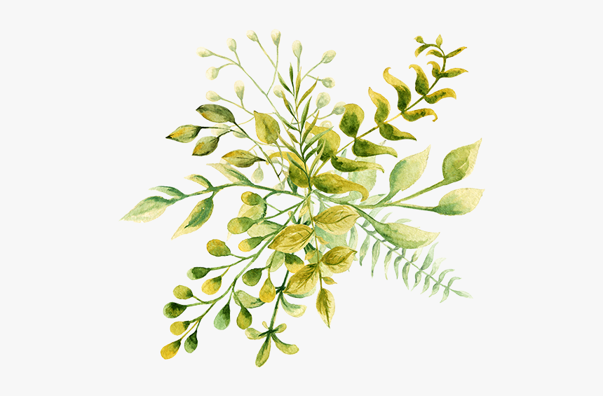 Mrs Gardener - Watercolor Painting, HD Png Download