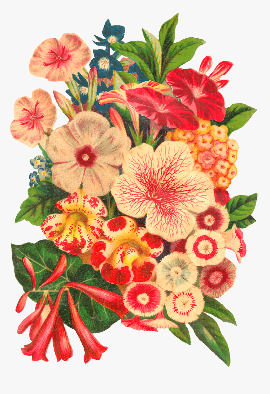 Antique Images Stock Seed - Botanical Flowers Bouquet, HD Png Download