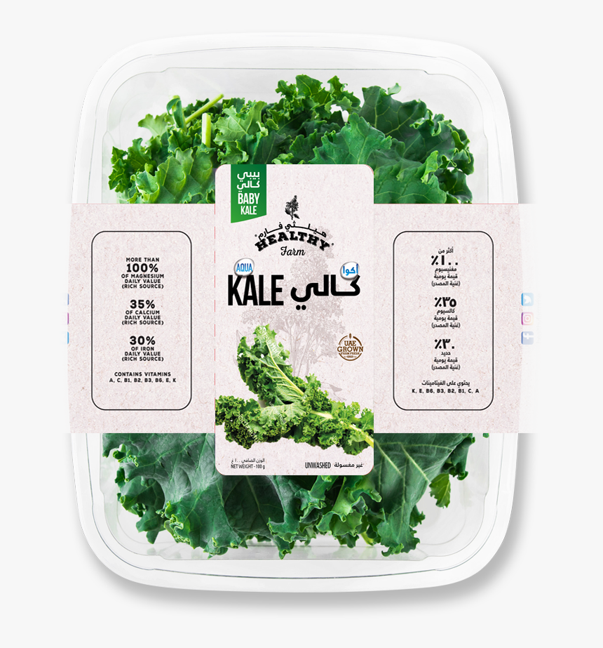 Transparent Kale Png - Spinach, Png Download