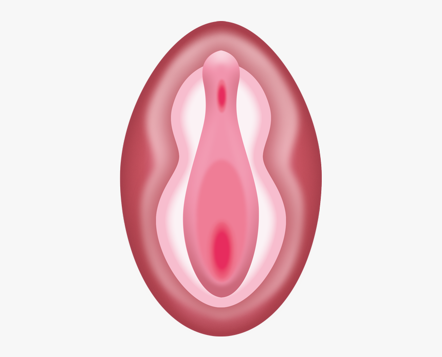 Vulva Emoji, HD Png Download