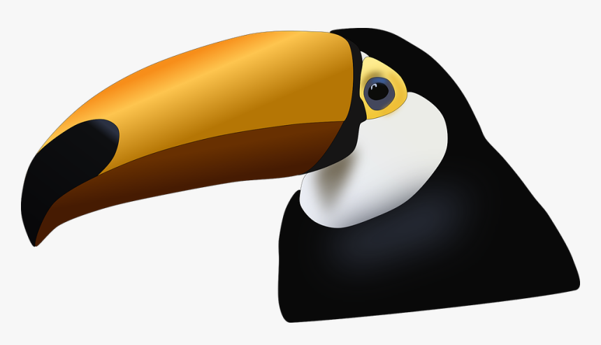 Transparent Toucan Clipart - Bico De Tucano Png, Png Download