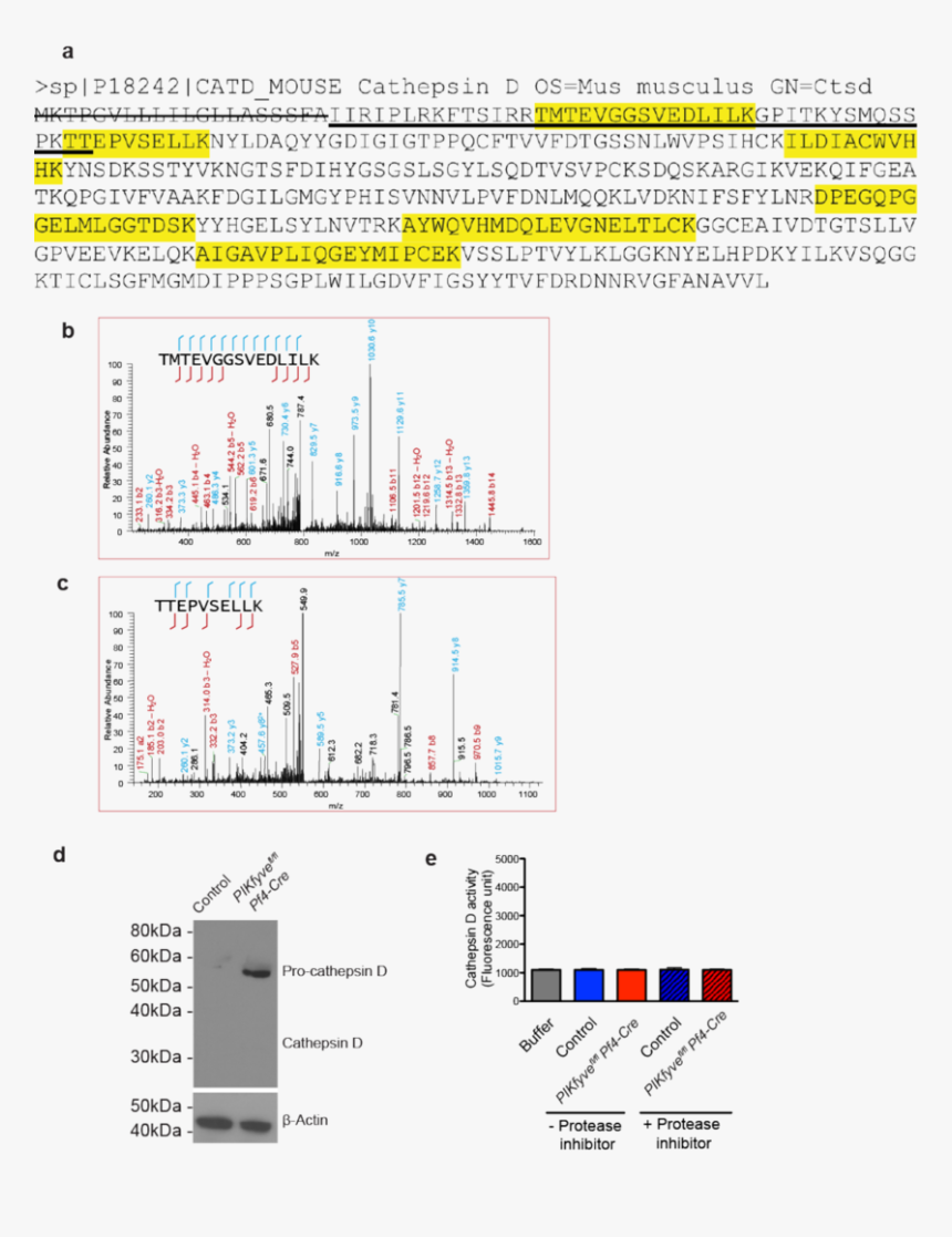 Screenshot, HD Png Download