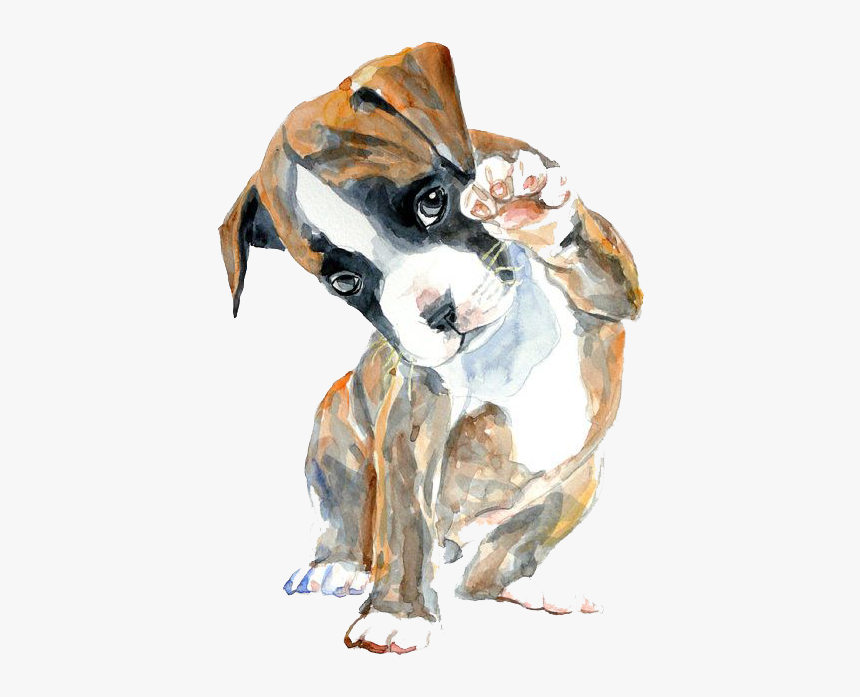 Oil Hello Watercolor Boxer Puppy Painting Drawing Clipart - Puppy Watercolor, HD Png Download