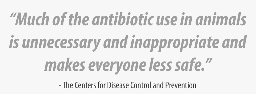 Liberal Party Of Pei, HD Png Download