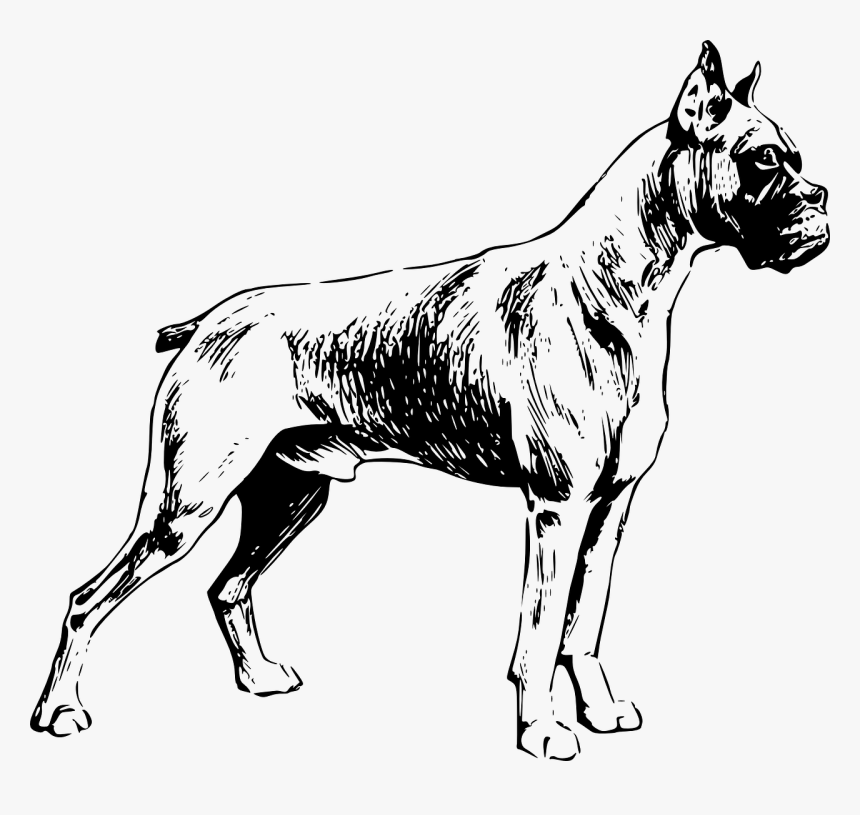 All Photo Png Clipart - Dog Drawing Full Body, Transparent Png