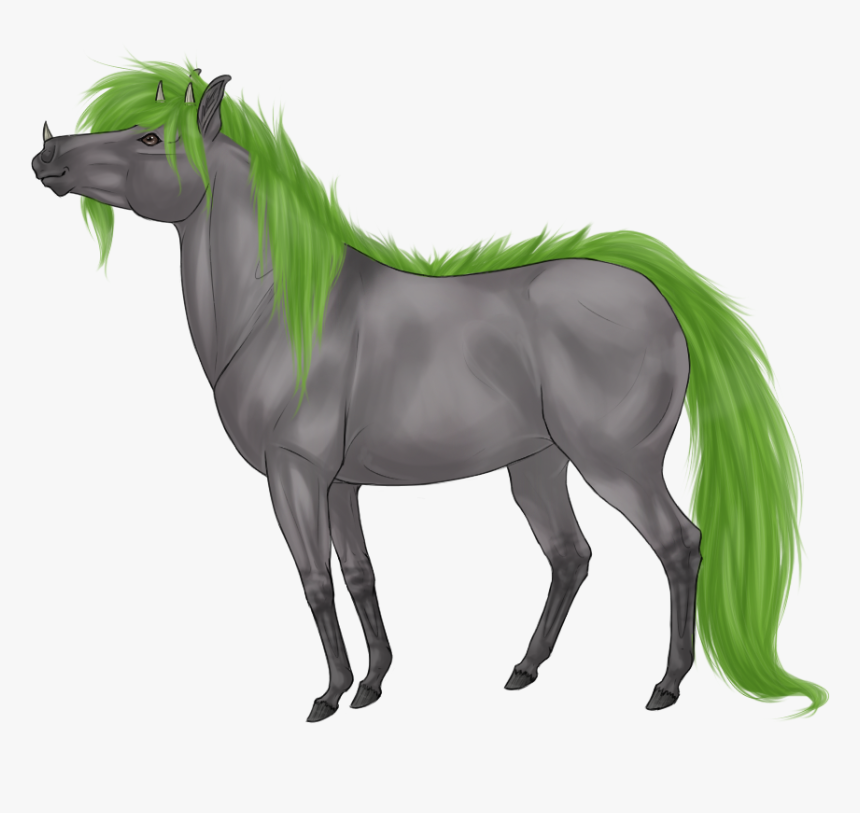 Stallion, HD Png Download