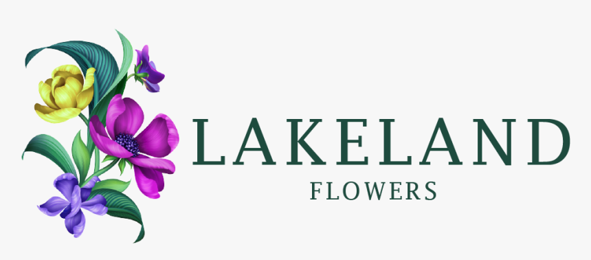Lakeland, Fl Florist - Flower, HD Png Download