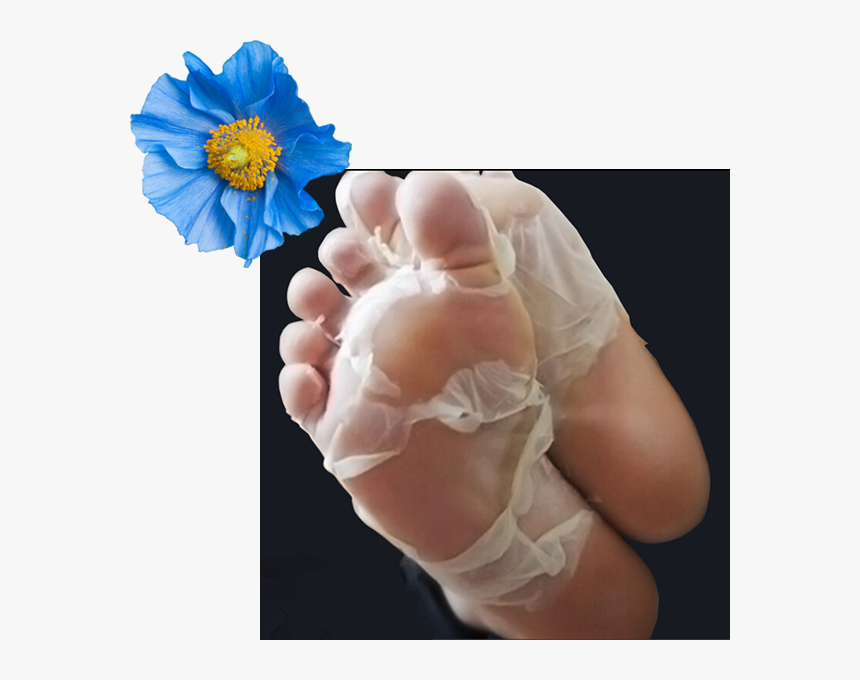 Baby Feet Peel Uk, HD Png Download