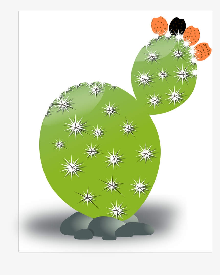 Cactus, HD Png Download