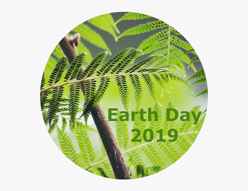 Jasco Cleans Up For Earth Day - End We Only Regret The Chances We Didn T Take 1920x1080, HD Png Download