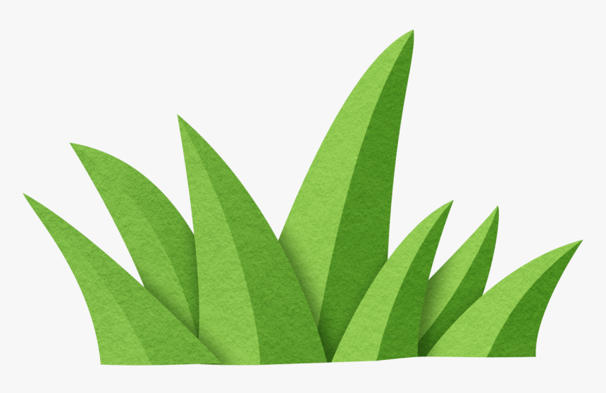 Transparent Jungle Plant Clipart - Sabal Minor, HD Png Download