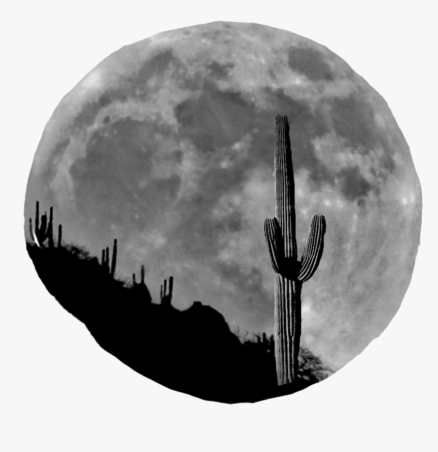 Full Moon, HD Png Download