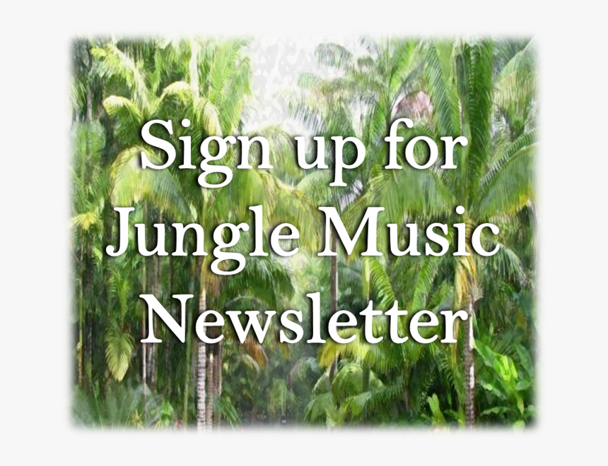 Email Newsletter Sign-up Banner - Plantation, HD Png Download