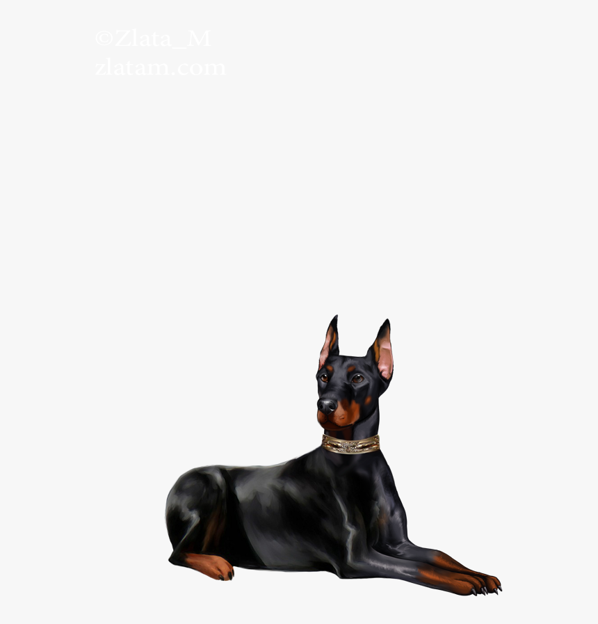Dobermann, HD Png Download