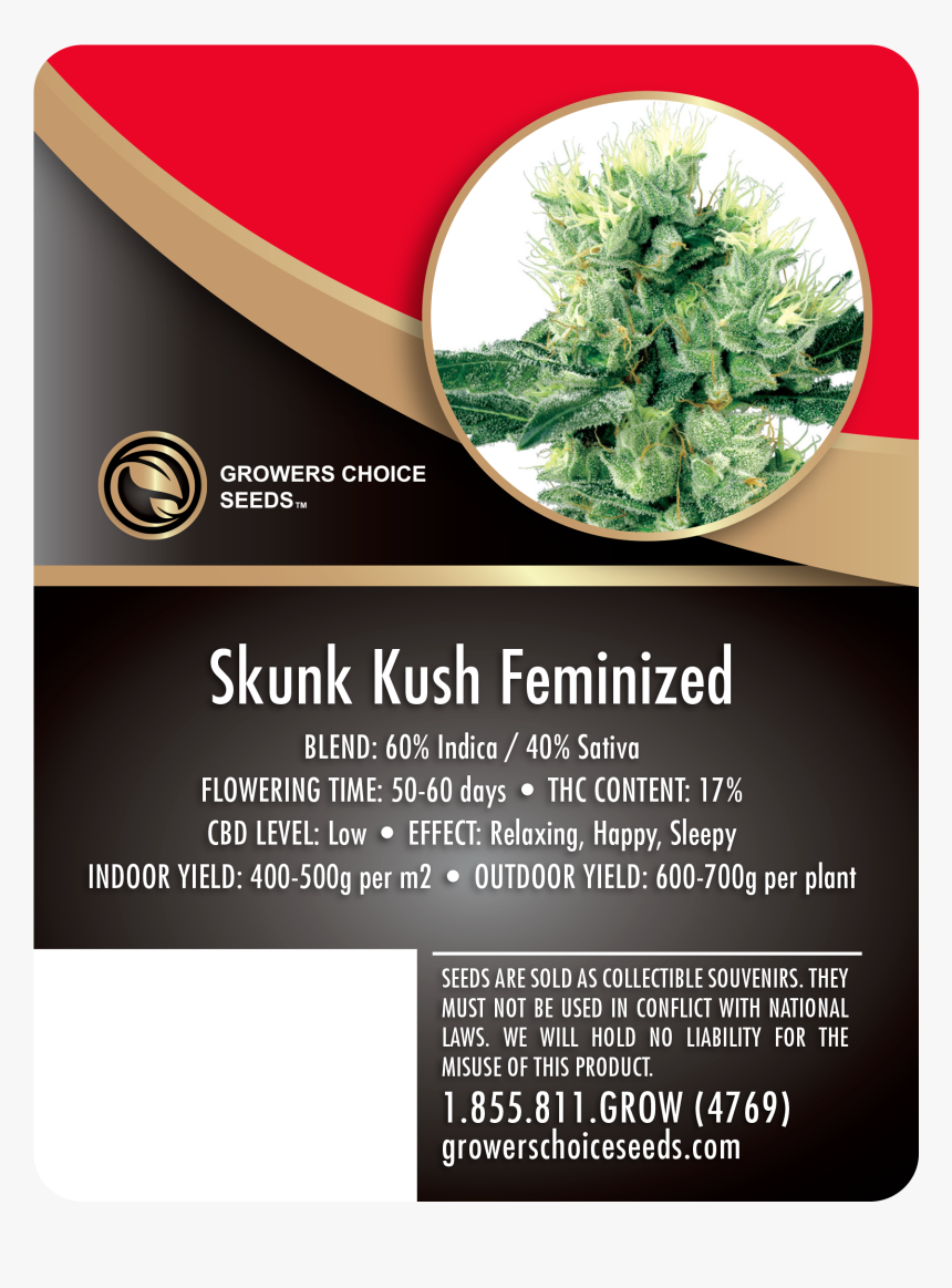 Skunk Kush Feminized Cannabis Seeds - Marijuana Bubba Kush Cbd, HD Png Download