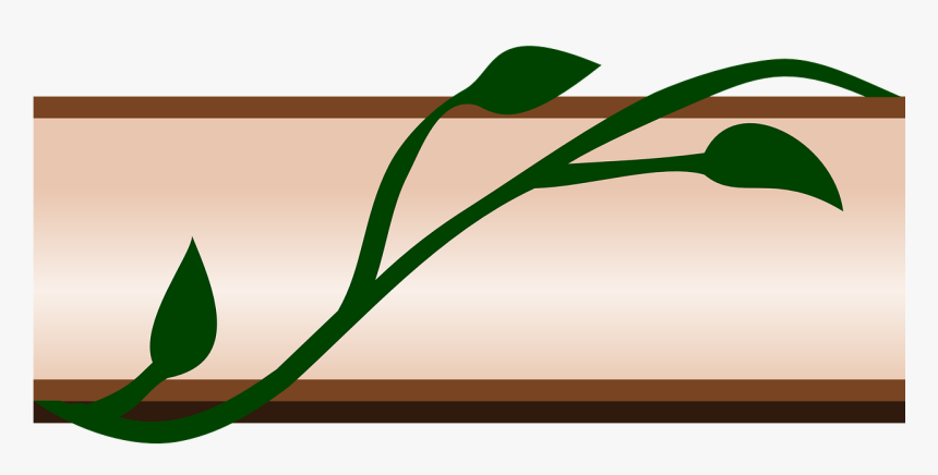 Border Ivy Flora Leaf Design Png Image - Border Clip Art, Transparent Png