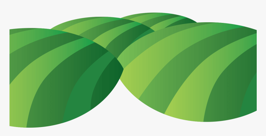 Transparent Schoolchildren Clipart - Tree, HD Png Download