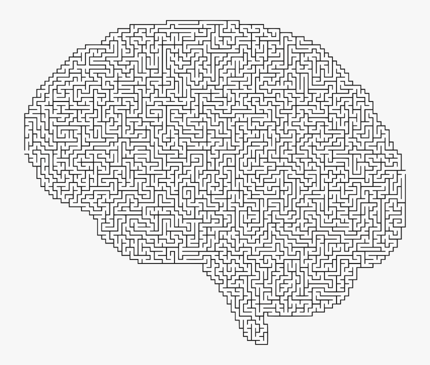 Brain, Cranium, Head, Psychology, Skull, Think, Thought - Brain Maze, HD Png Download