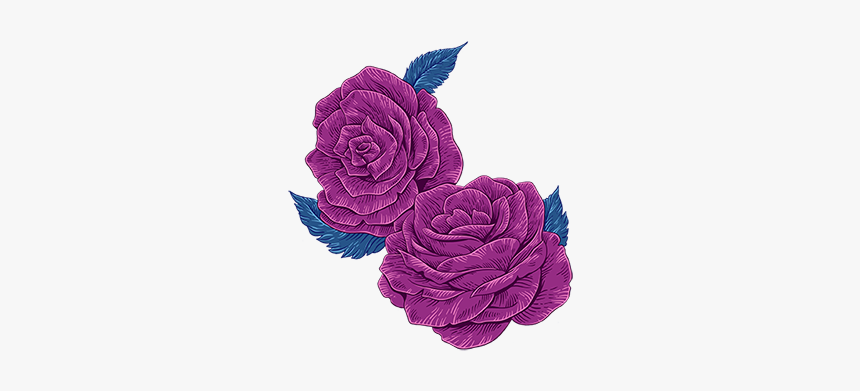 Rosa × Centifolia, HD Png Download