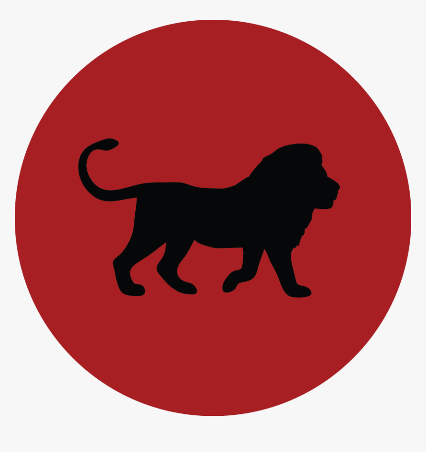 Transparent Sorting Hat Png - Prohibido Fumar, Png Download