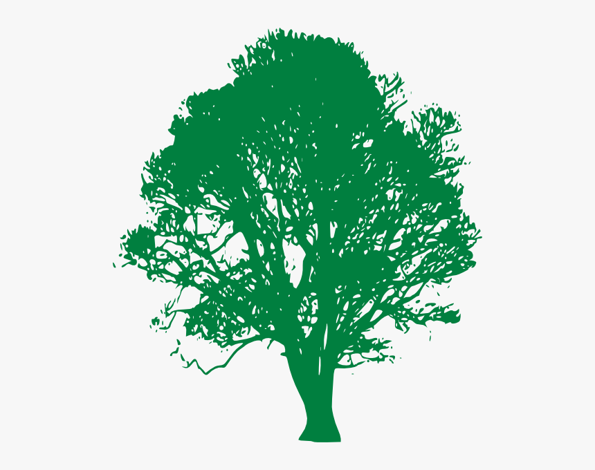 White Oak Tree Clip Art - Live Oak Tree Black And White, HD Png
