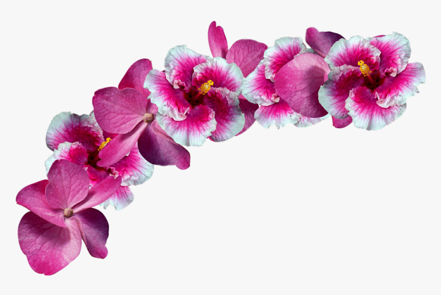 #freetoedit#flowers #crown #remixit - Pink Flower Crown Png, Transparent Png