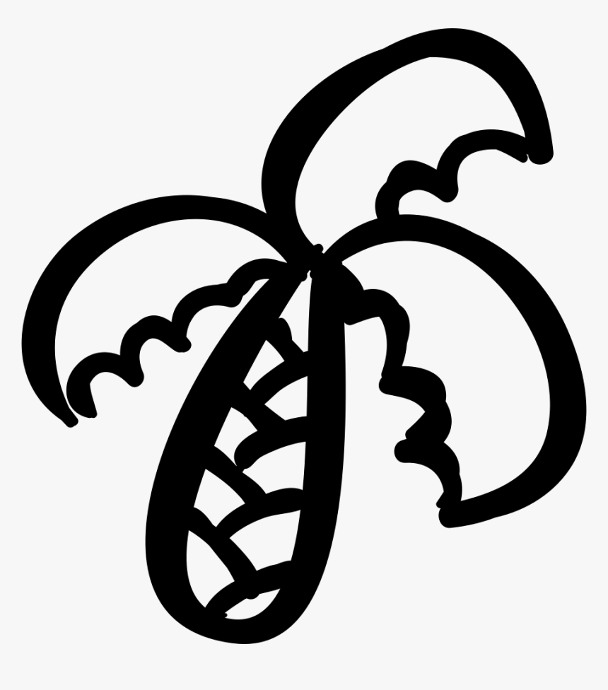 Tropical Palm Tree Outline - Palmera Contorno Png, Transparent Png