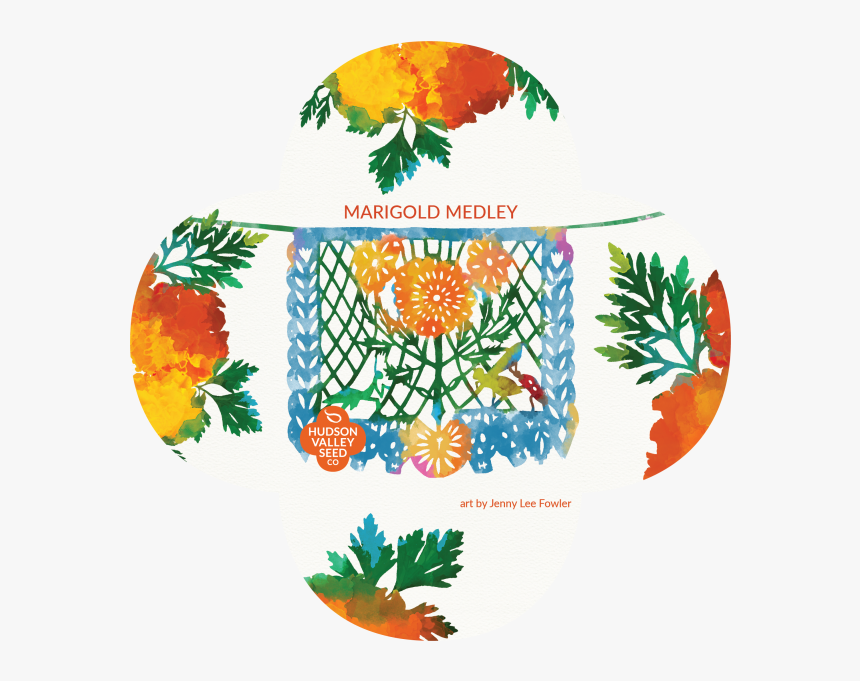 Marigold, HD Png Download