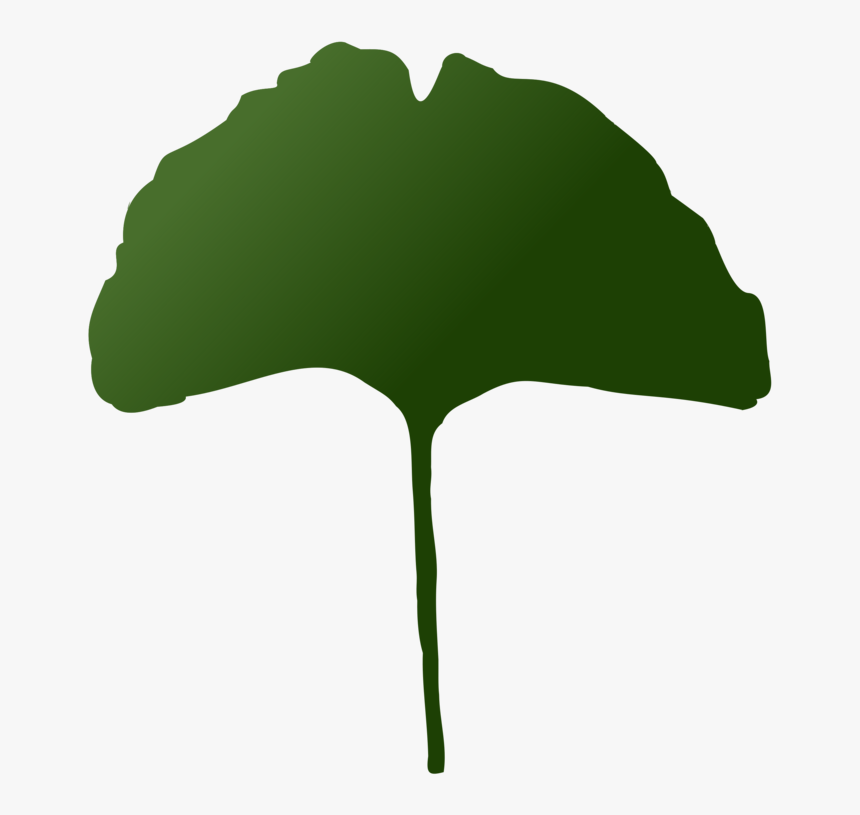 Plant,leaf,tree - Clip Art, HD Png Download