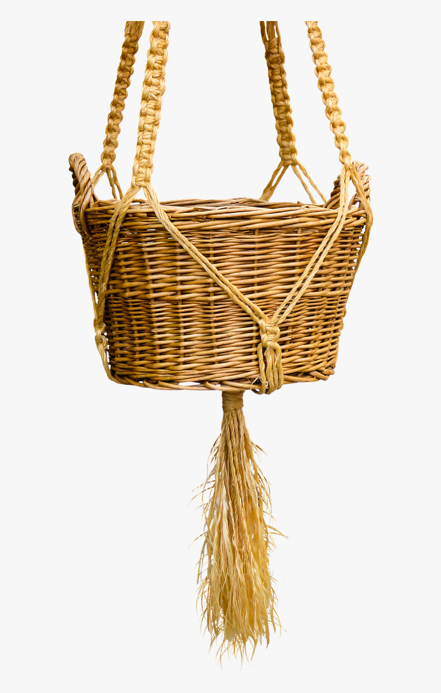 Basket Wicker Basket Isolated Kitten In The Basket - Cat, HD Png Download