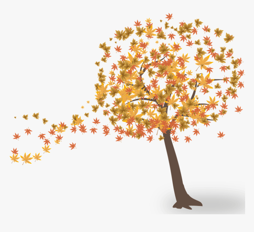 Transparent Deciduous Tree Png - Fall Tree Png, Png Download