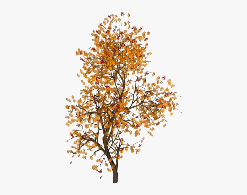 #moodboard #niche #filler #aesthetic #png #polyvorepng - Fall Leaves Aesthetic Png, Transparent Png