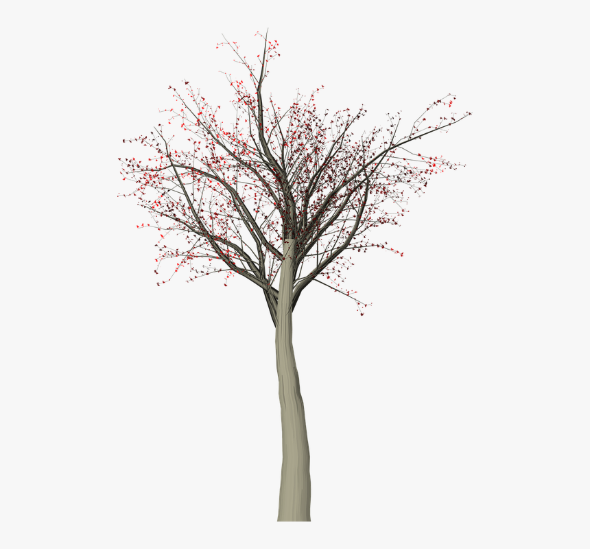 Tree Leaves Autumn - Arbol Sin Hojas Png, Transparent Png