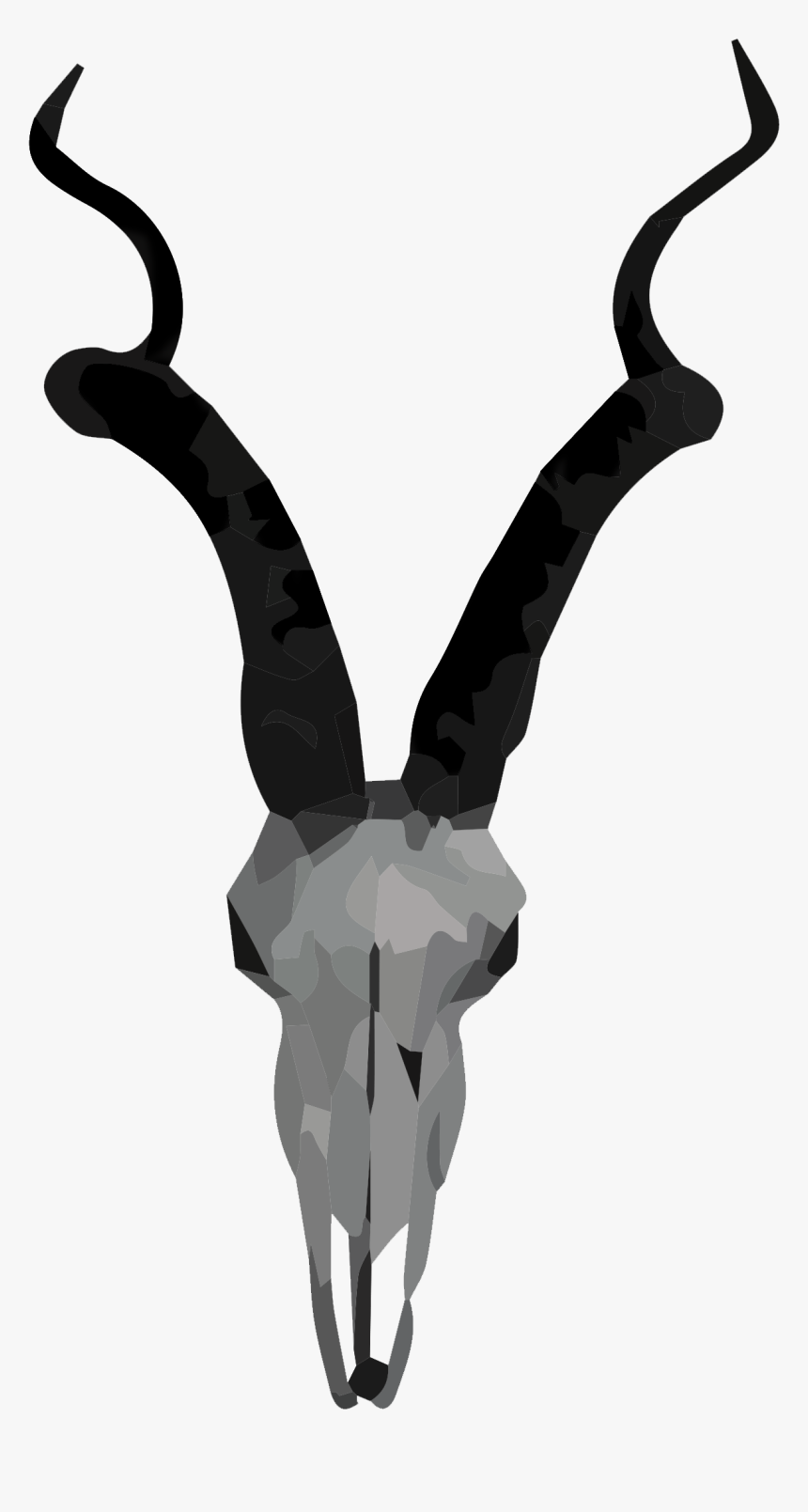 Skull Of Antelope, HD Png Download