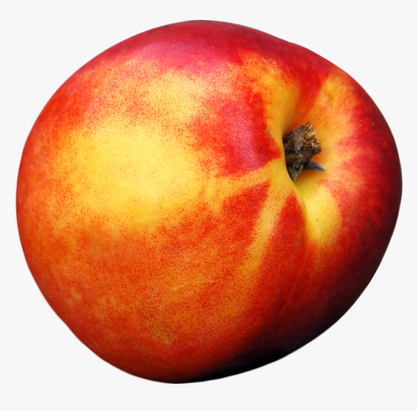 Peach Png Image Image - Single Peach Png, Transparent Png