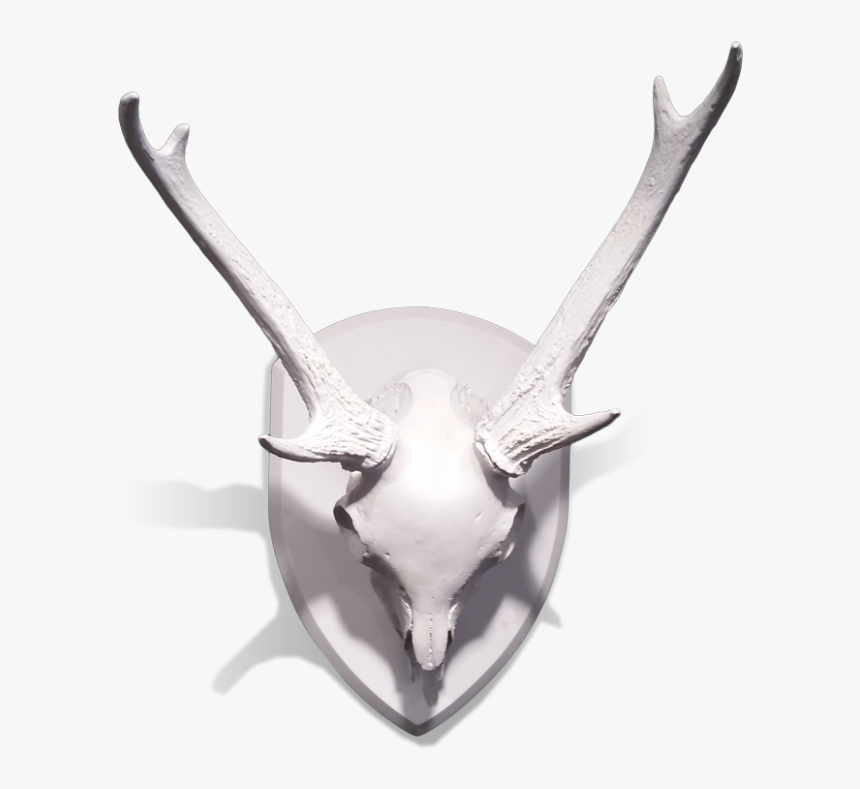 Gold Leaf Design Group Mule Deer Skull With Antlers - Deer, HD Png Download