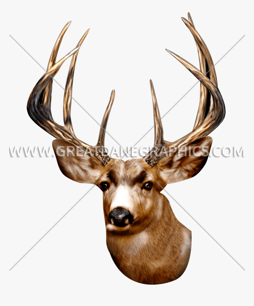 T-shirt, HD Png Download