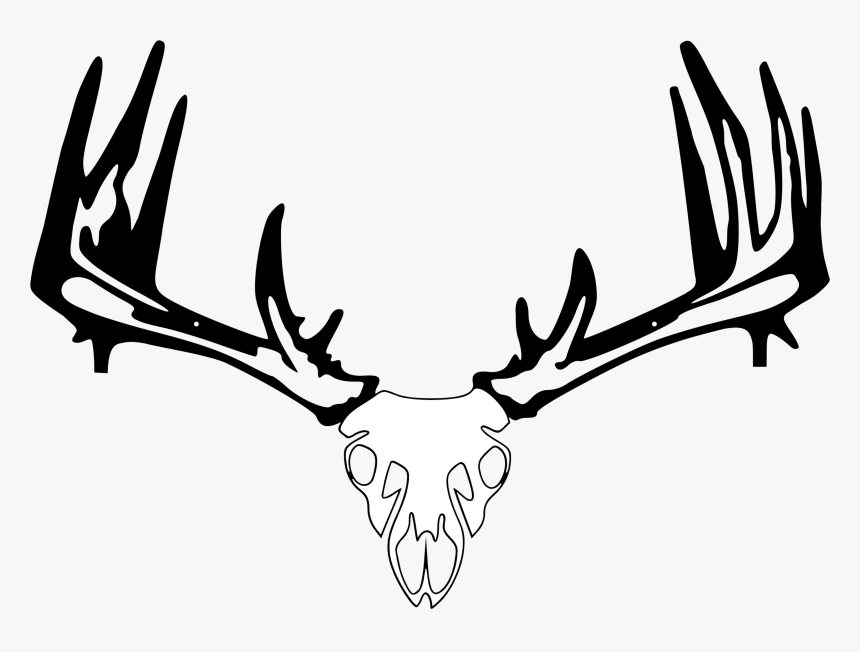 Vector Freeuse Download Whitetail Crossbow - Pse Archery, HD Png Download