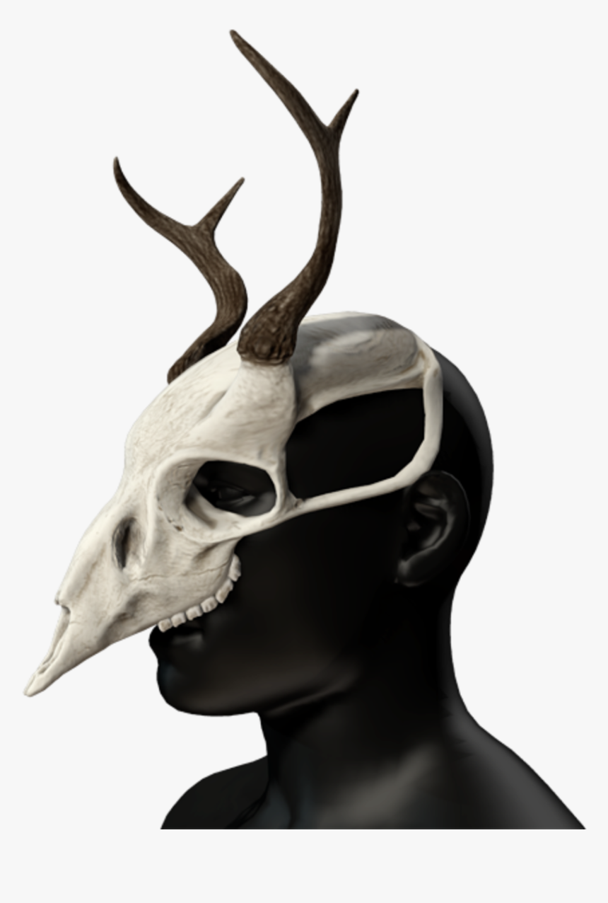 Deer, HD Png Download