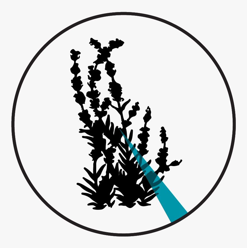 Pie Chart - Shave The Whales, HD Png Download