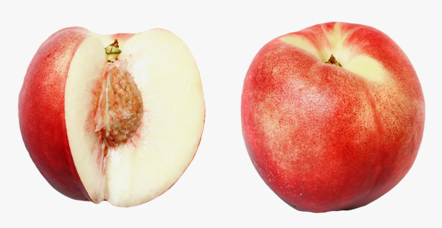 Clip Art Blanching Peaches - Nectarine Yellow And White Flesh, HD Png Download