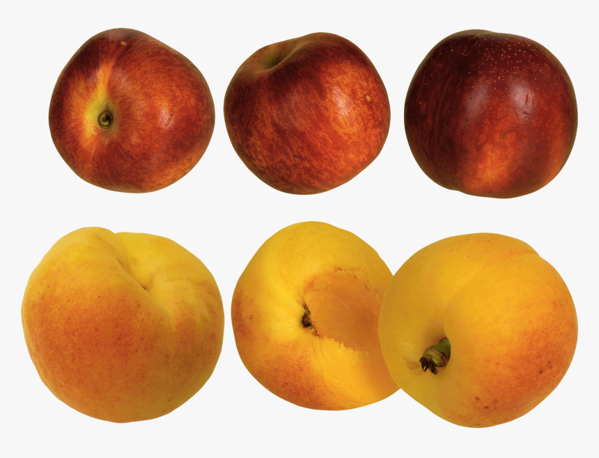 Peach, HD Png Download