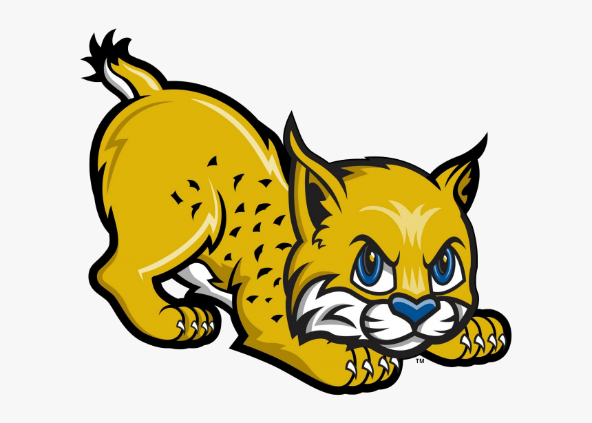Uc Merced Golden Bobcats Men S Basketball Clip Art - Bobcat Clipart, HD Png Download