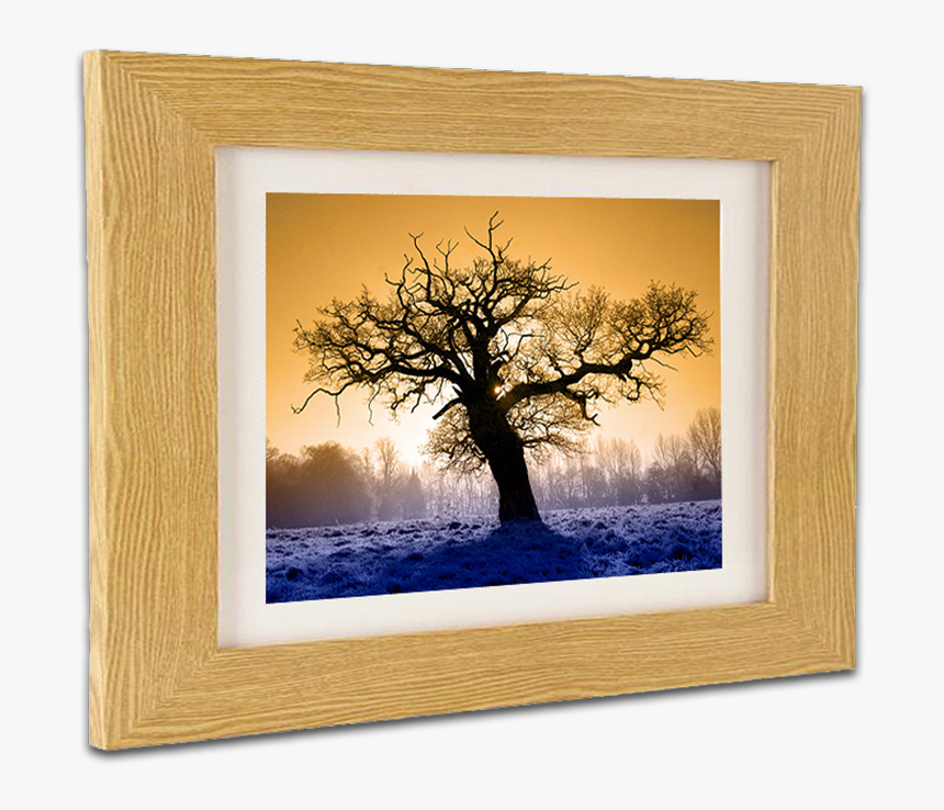 Real Wood Picture Framing At Hayman Creative Nottingham - Picture Frame, HD Png Download